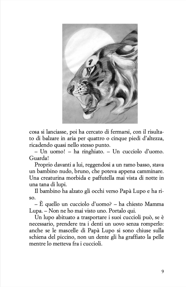 Mowgli in italiano facile - Libro - immagine 5